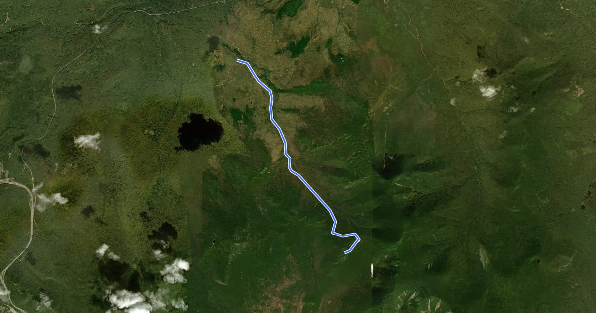 Маршрут Gale River Trail на спутниковом снимке