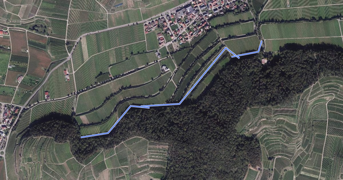 Маршрут Galgenbühl - Willburg на спутниковом снимке