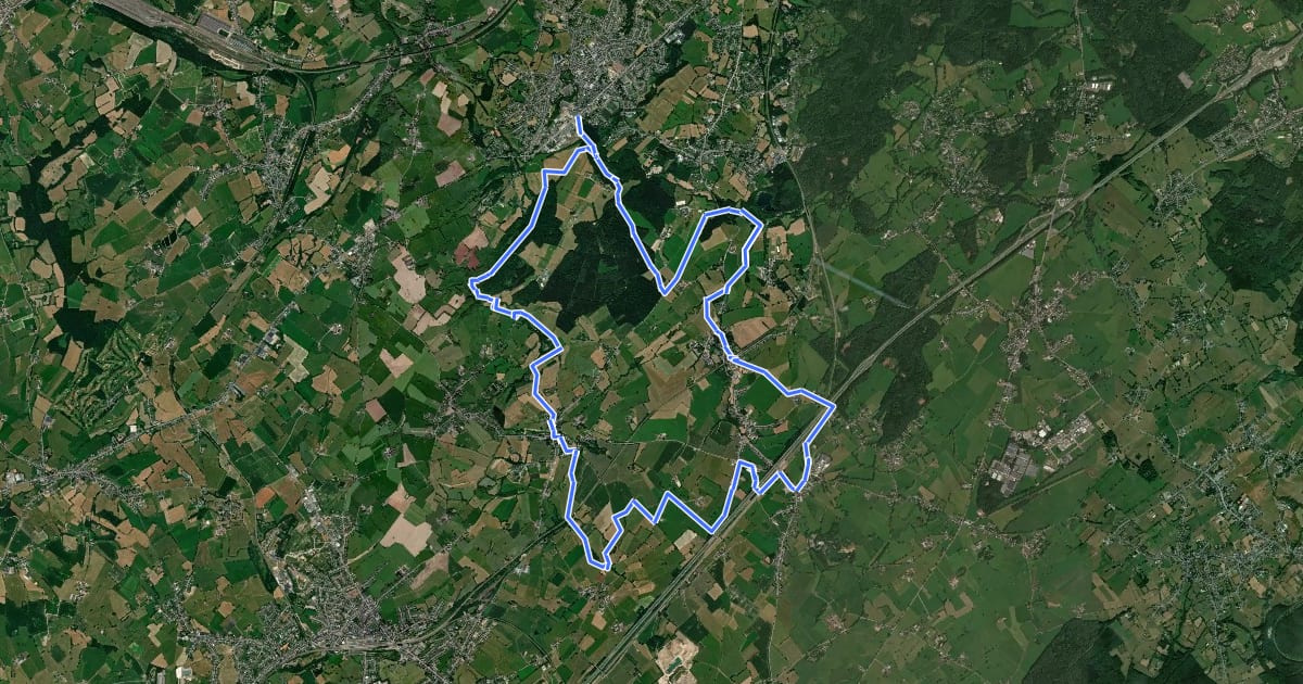 Маршрут Galmeiveilchenweg на спутниковом снимке
