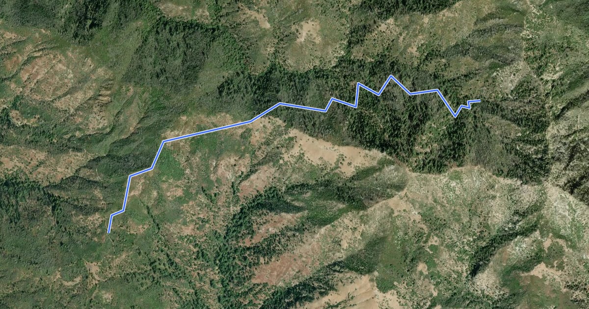 Маршрут Gamboa Trail на спутниковом снимке