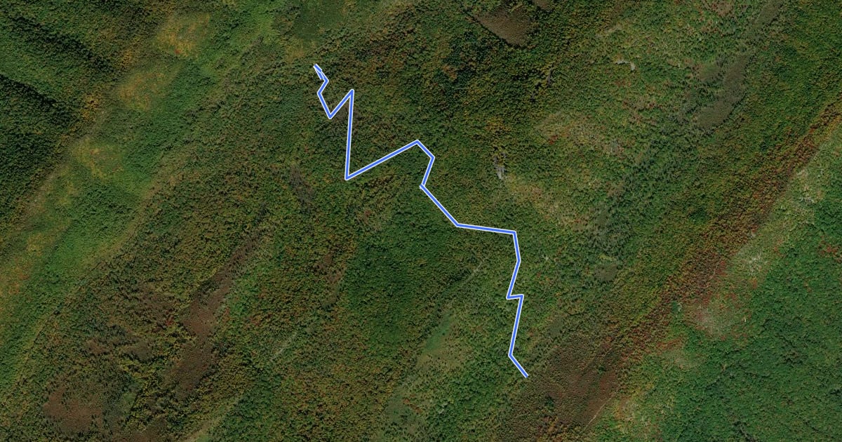 Маршрут Gap Creek Trail на спутниковом снимке