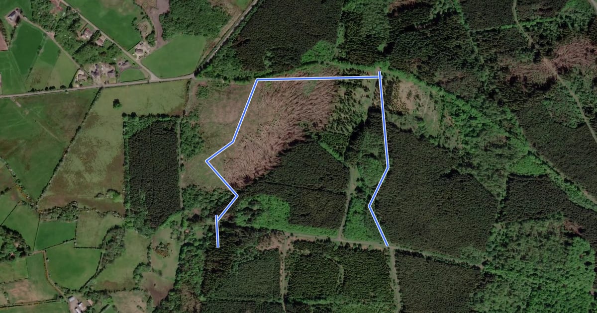 Маршрут Garvagh Forest Cycle Red Trail на спутниковом снимке