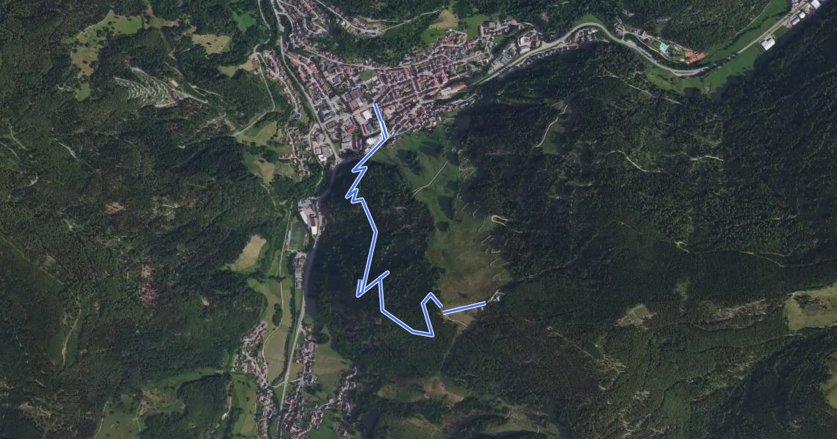 Маршрут Gasthaus Hasenhorn - Todtnau Tourist-Information на спутниковом снимке