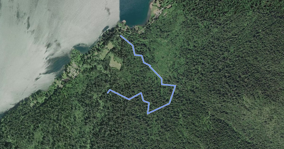 Маршрут Gatton Creek Trail на спутниковом снимке