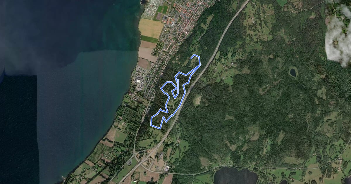 Маршрут GBOK MTB Arena - Blå-gula banan на спутниковом снимке