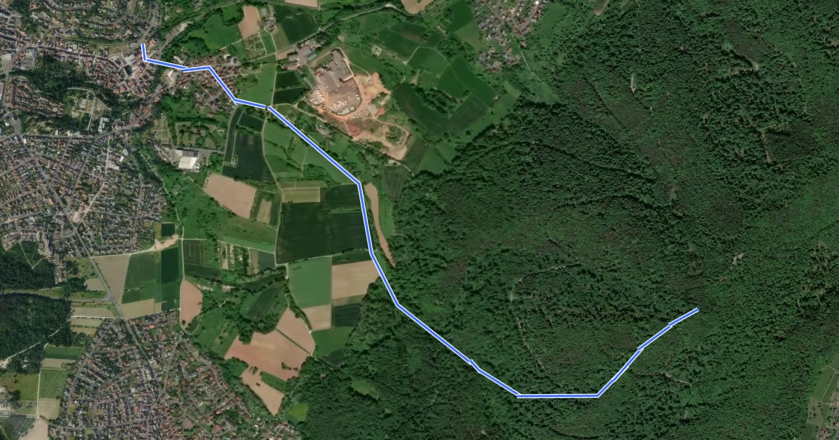 Маршрут Gebietswanderweg Roter Balken: Alzenau, Bahnhalt Burg => Hahnenkamm на спутниковом снимке