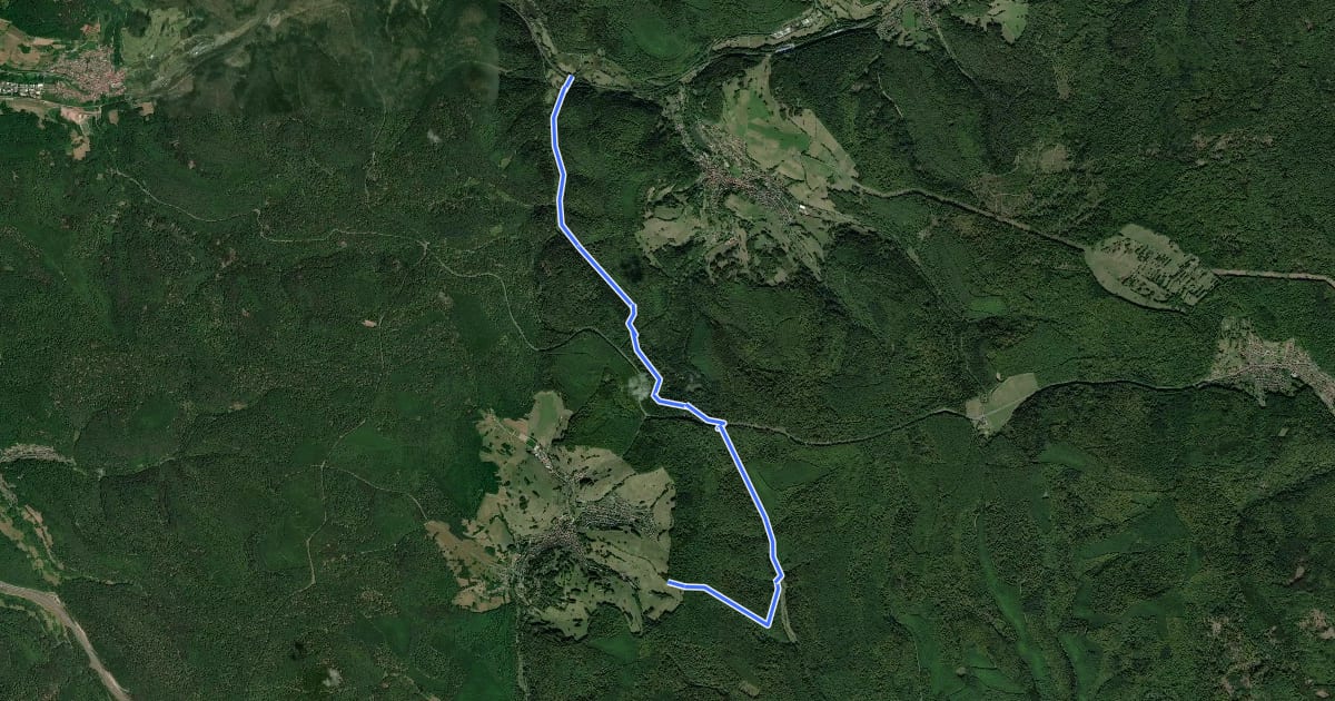 Маршрут Gebietswanderweg Rotes Dreieck Lohrbach - Bomigsee на спутниковом снимке