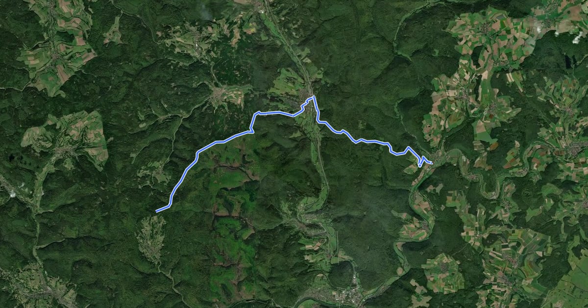 Маршрут Gebietswanderweg Rotes X, Burgsinn - Bayerische Schanz на спутниковом снимке