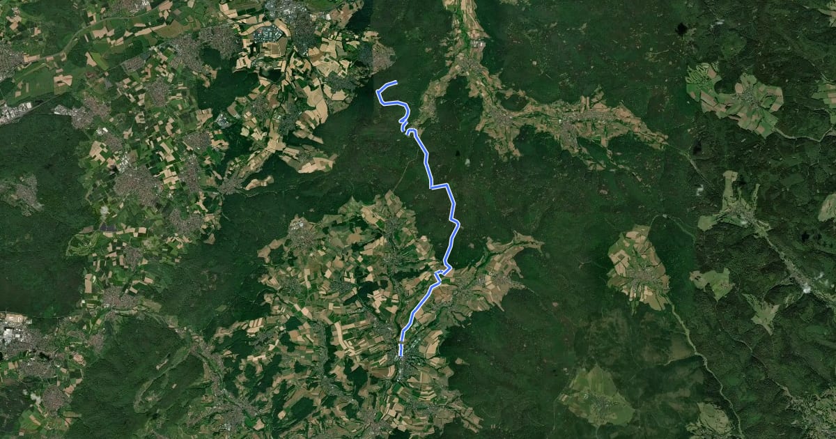 Маршрут Gebietswanderweg Rotes X: Eidengesäß => Schöllkrippen на спутниковом снимке