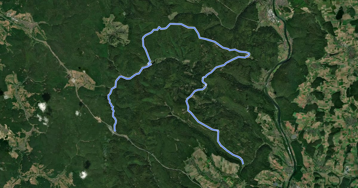 Маршрут Gebietswanderweg Rotes X - Rohrbrunn - Löwensteinscher Park - Wachenmühlen на спутниковом снимке