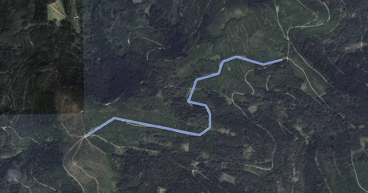 Маршрут Geißschleifsattel - Ramsbacher Holzplatz на спутниковом снимке