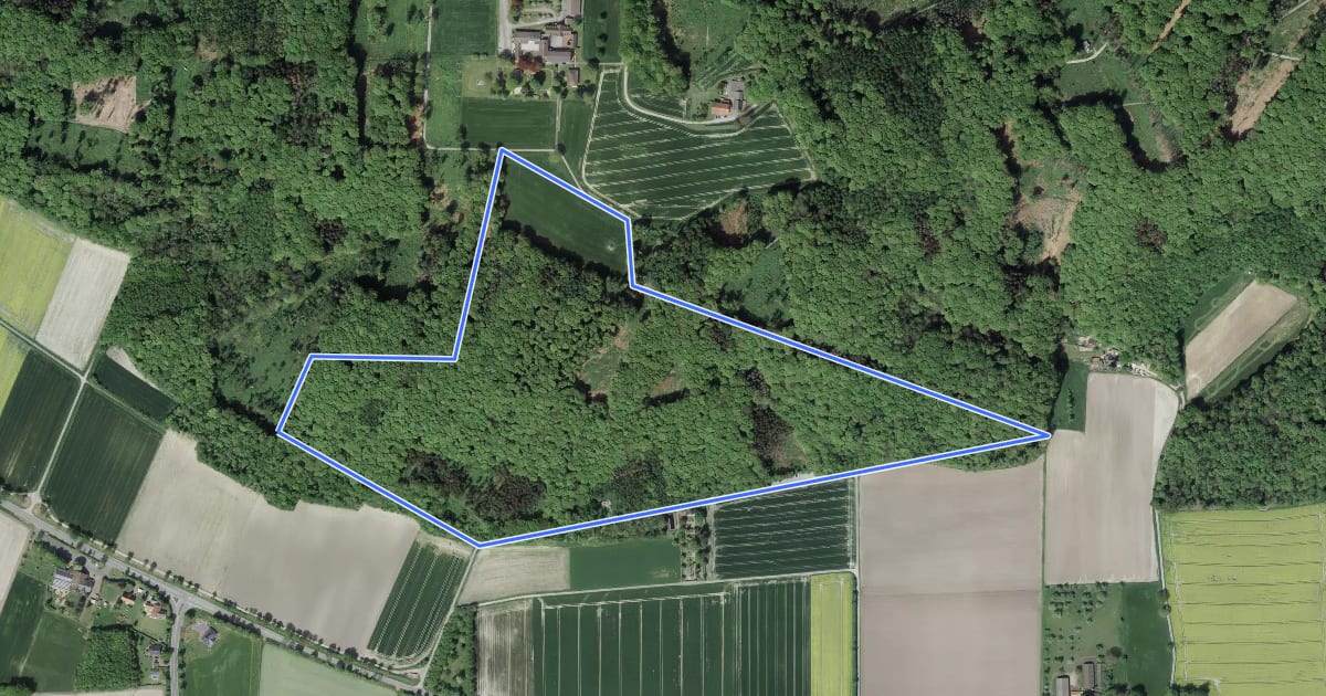 Маршрут Gelb gestrichelte Route- Stemweder Berg на спутниковом снимке