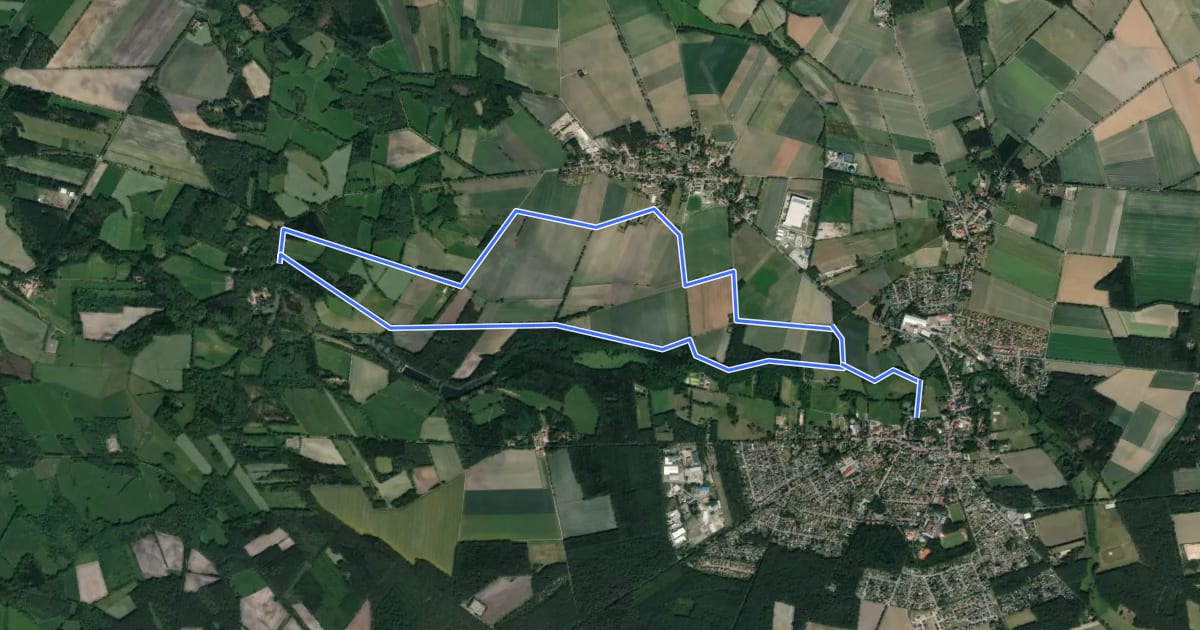 Маршрут Gelbe Nordic-Walking-Strecke Neuenkirchen на спутниковом снимке
