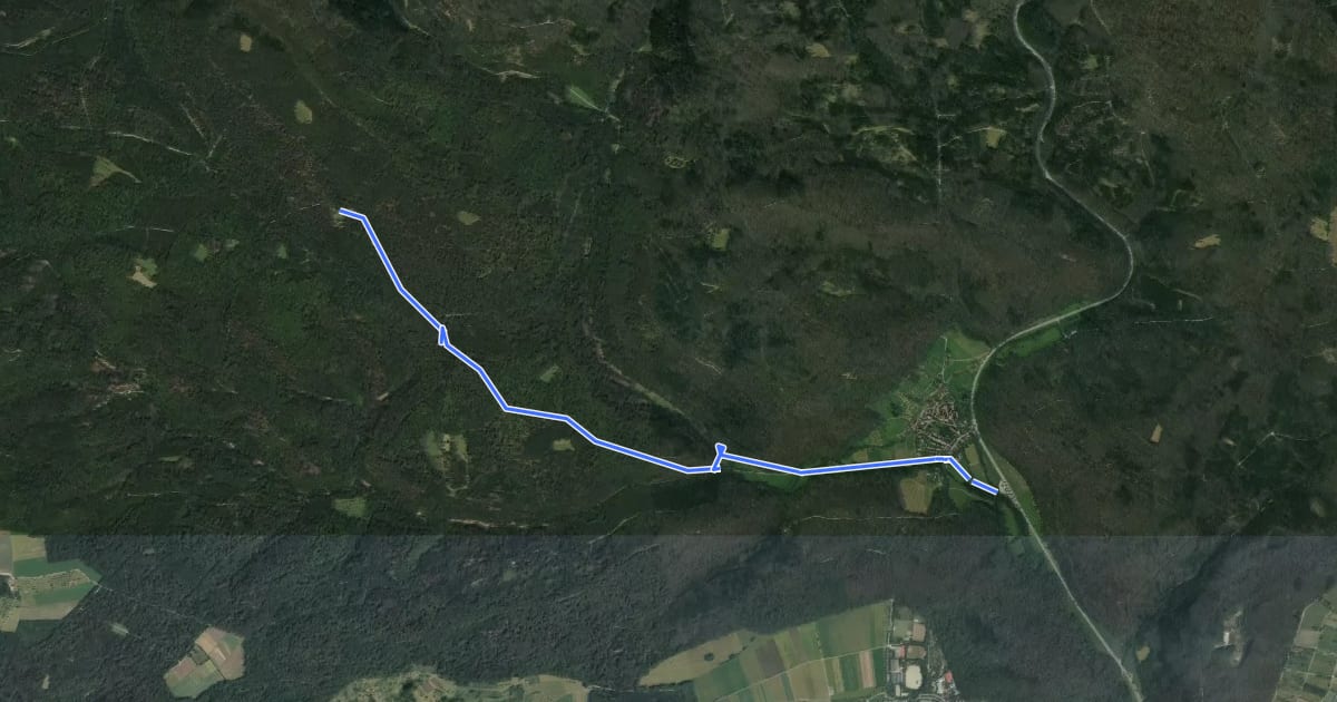 Маршрут gelber Balken: Bebenhausen - Königliche Jagdhütte на спутниковом снимке