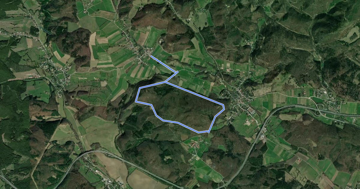 Маршрут Gemeinde Wienerwald Rundwanderweg 6 bei Sittendorf на спутниковом снимке