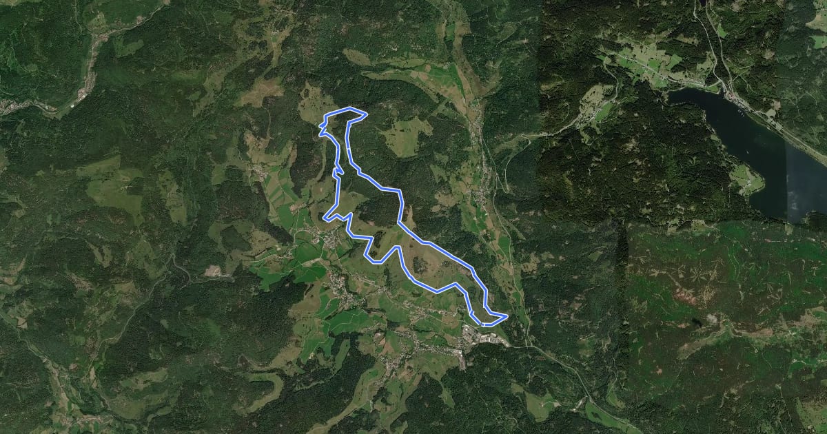 Маршрут Genießerpfad - Bernauer Hochtal Steig на спутниковом снимке