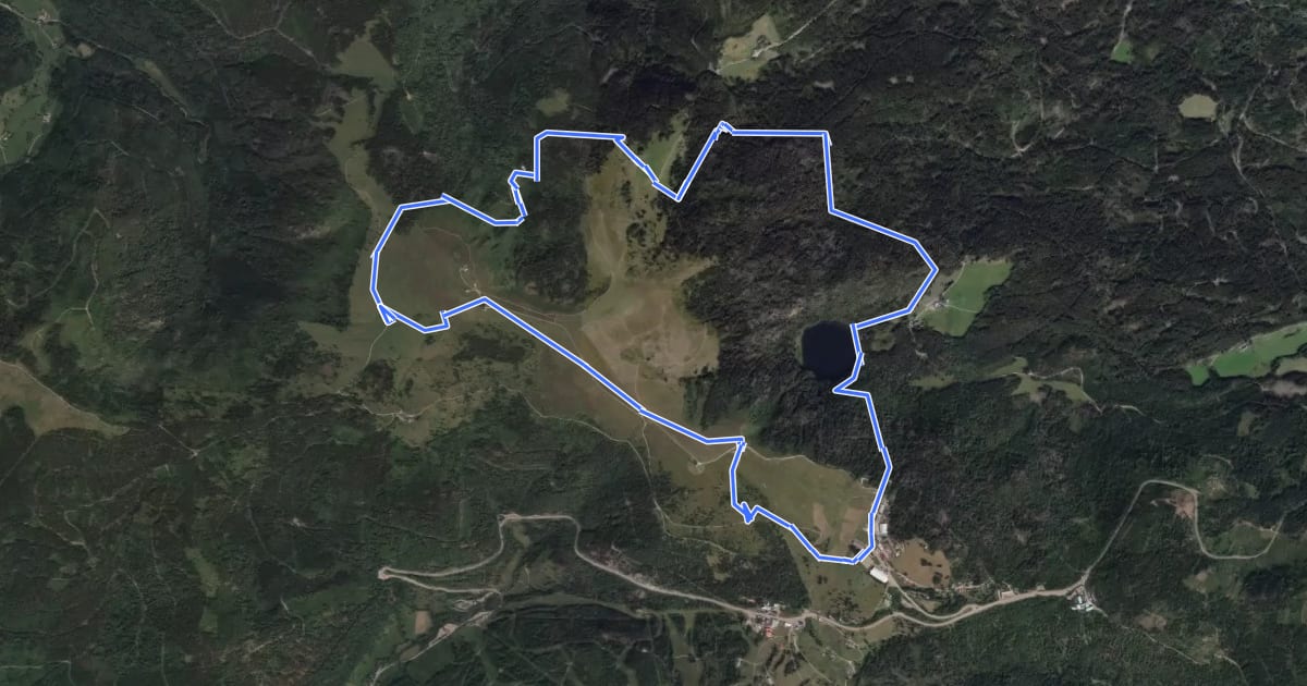 Маршрут Genießerpfad - Feldbergsteig на спутниковом снимке