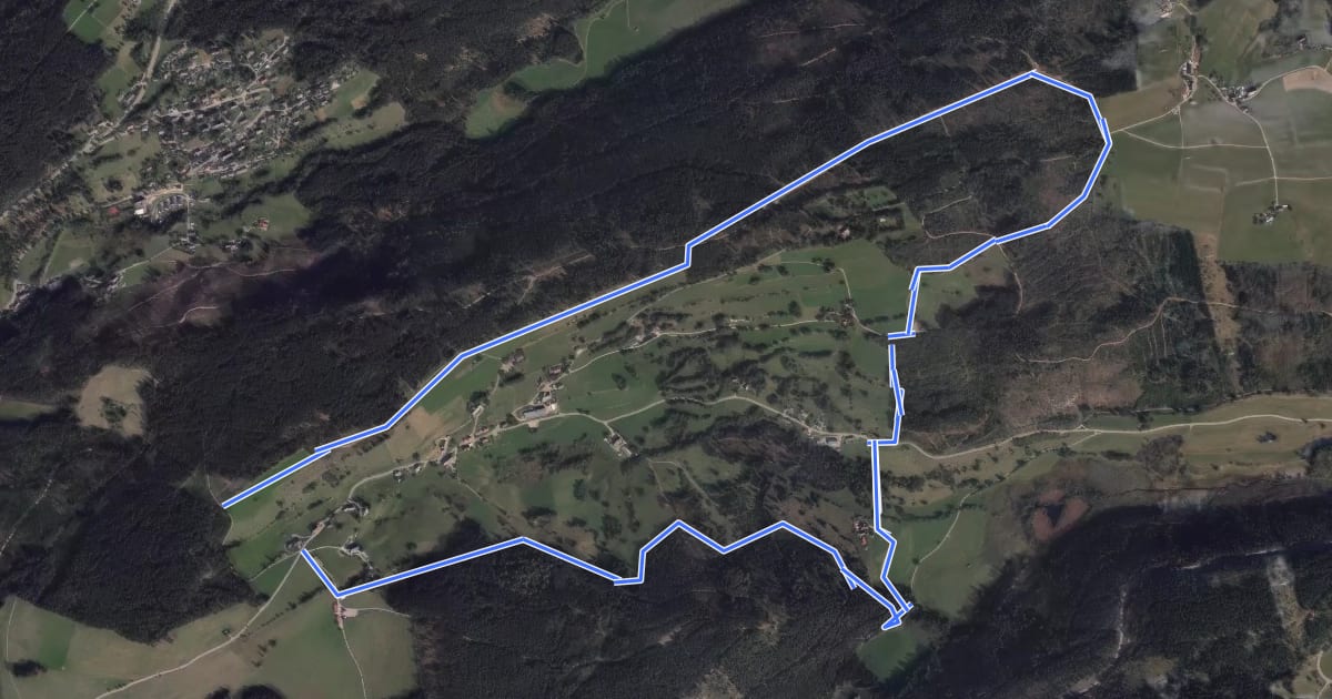 Маршрут Genießerpfad - Hochschwarzwälder Hirtenpfad на спутниковом снимке
