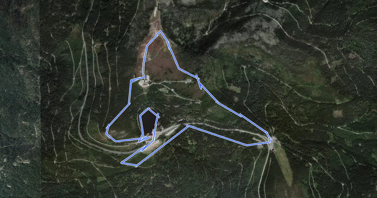 Маршрут Genießerpfad - Mummelsee-Hornisgrindepfad на спутниковом снимке