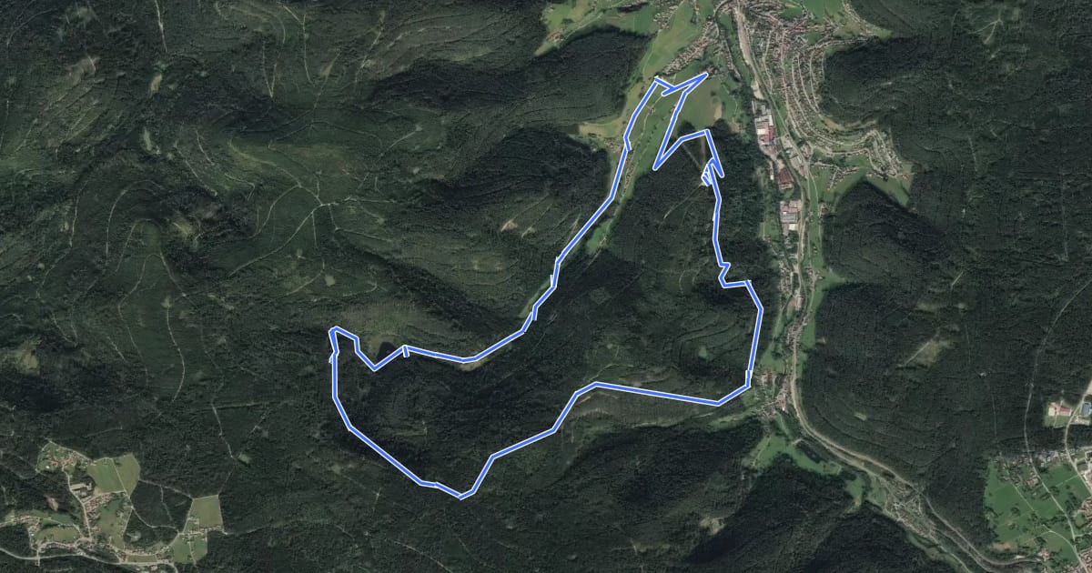 Маршрут Genießerpfad - Sankenbachsteig на спутниковом снимке