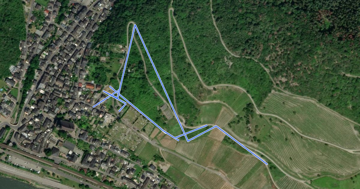Маршрут Geologischer Rundwanderweg Lorch на спутниковом снимке