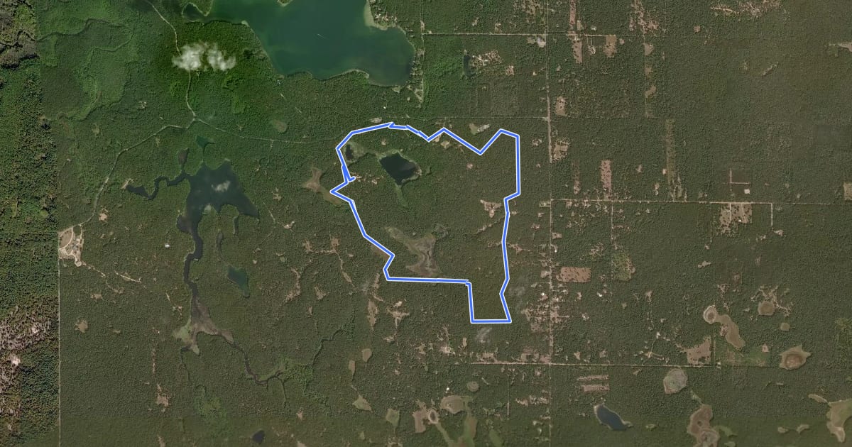 Маршрут Gerber Blue Trail на спутниковом снимке