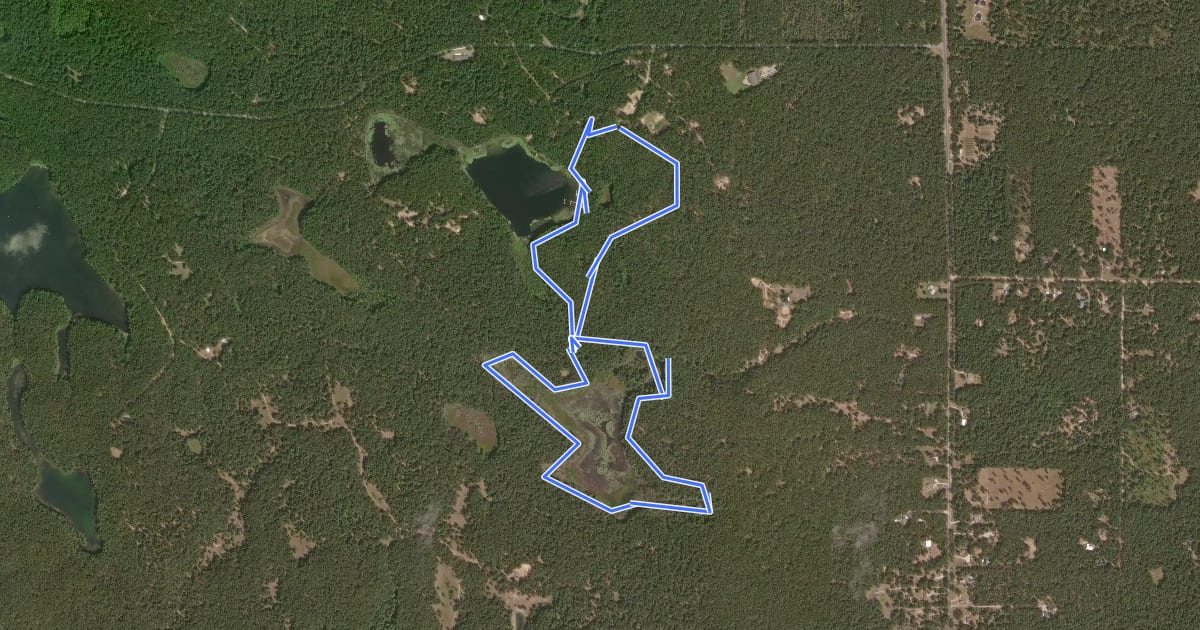 Маршрут Gerber Yellow Trail на спутниковом снимке
