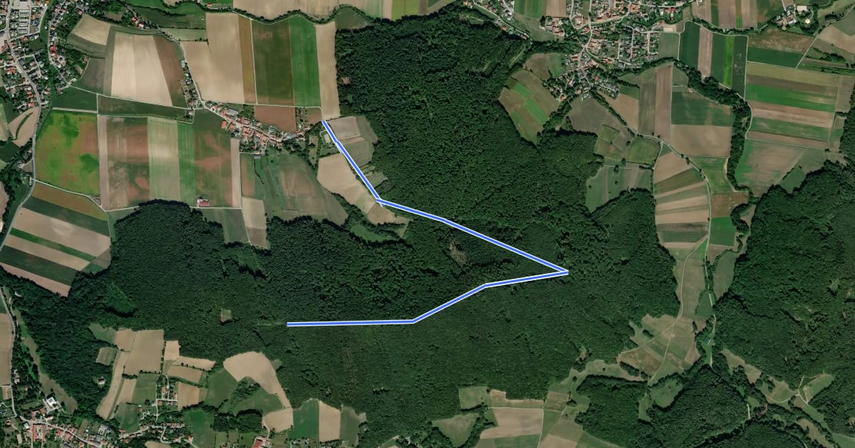 Маршрут Gerersdorf - Hohe Warte на спутниковом снимке