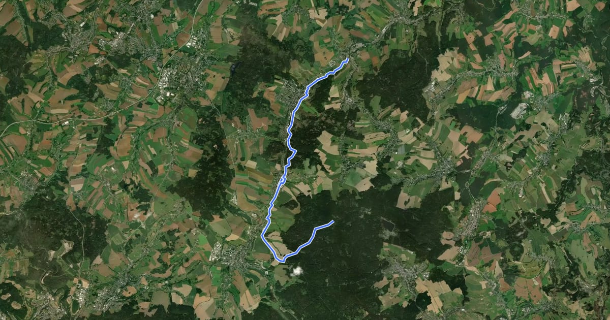 Маршрут Geyerscher Wald - Dorfchemnitz - Meinersdorf на спутниковом снимке