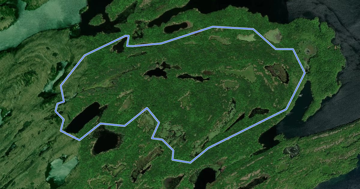 Маршрут Gibson Lake Loop на спутниковом снимке