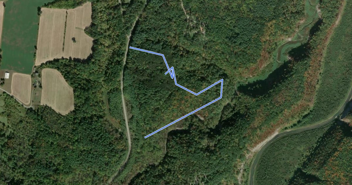 Маршрут Gibsonville Trail на спутниковом снимке