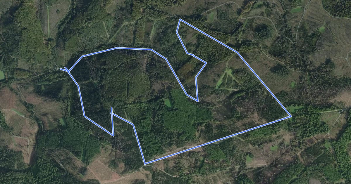 Маршрут Giesmecke Rundweg A3 на спутниковом снимке