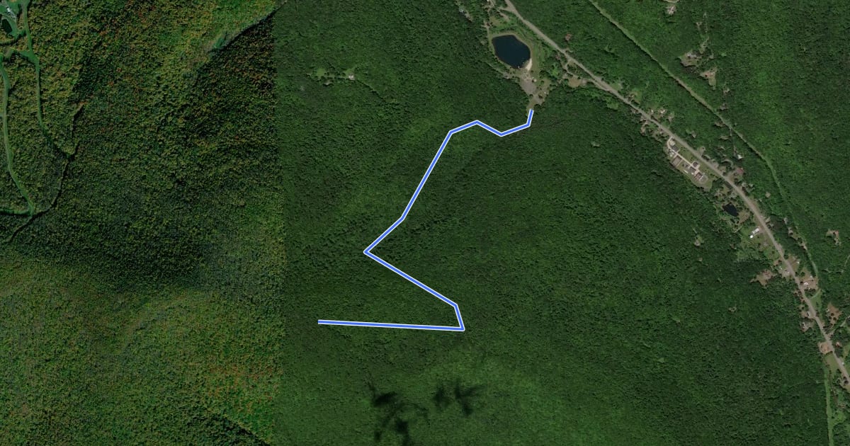 Маршрут Giggle Hollow Trail на спутниковом снимке