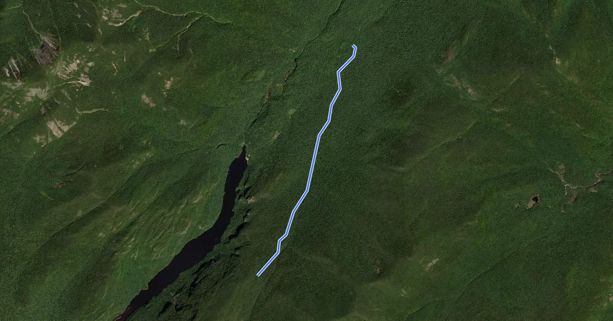 Маршрут Gill Brook Trail на спутниковом снимке