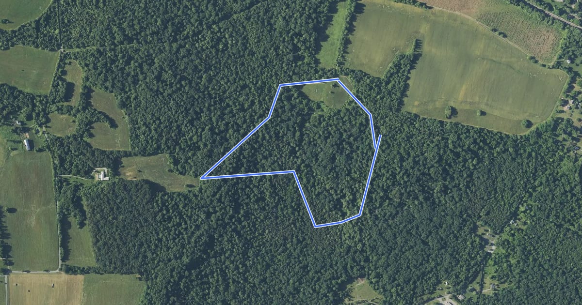 Маршрут Gillian Farm Loop на спутниковом снимке