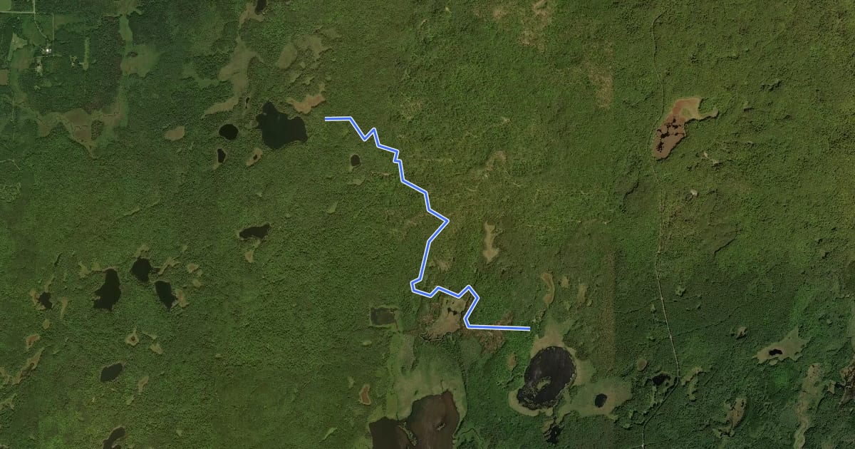 Маршрут Glacier Trail на спутниковом снимке