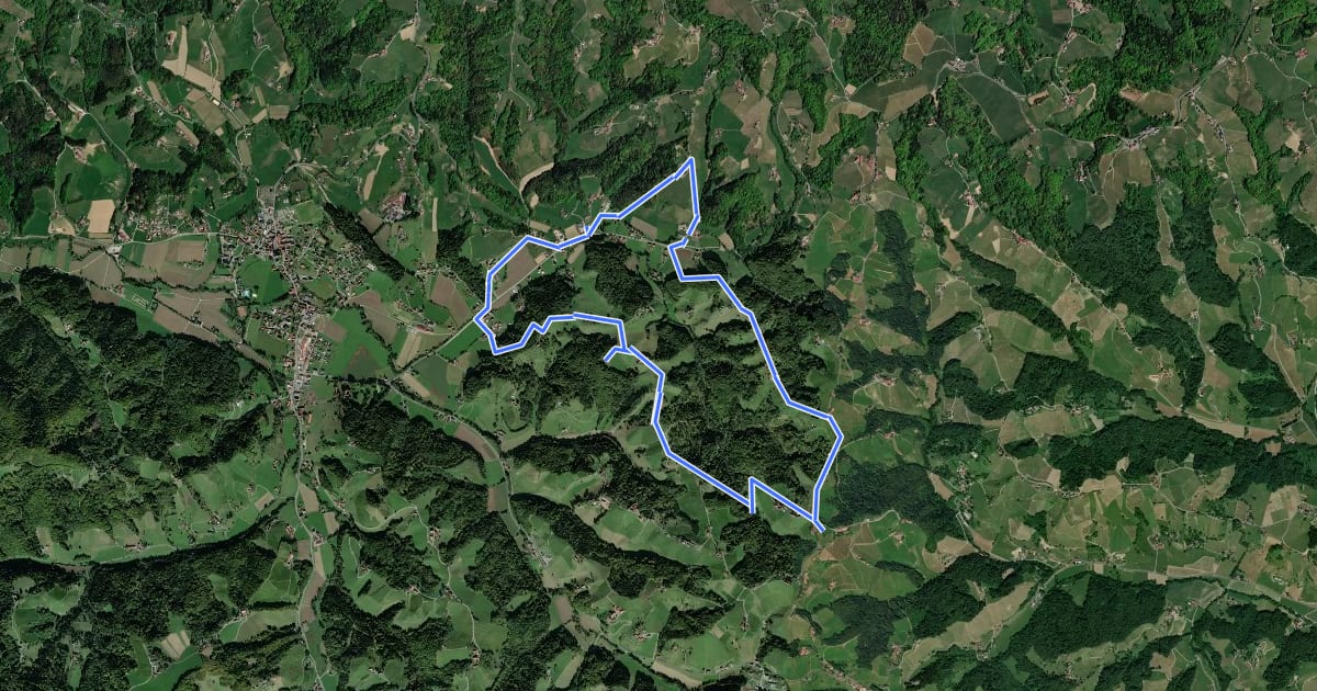 Маршрут Glanzer Hoftour (Variante 1 - Kurzvariante) на спутниковом снимке