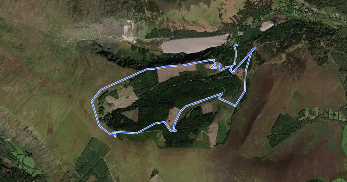 Маршрут Glendalough Red Route на спутниковом снимке