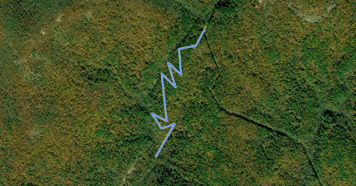 Маршрут Glenn Falls Trail на спутниковом снимке
