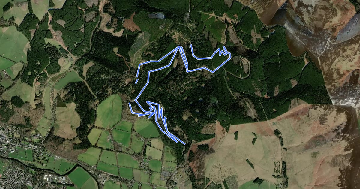 Маршрут Glentress Blue Route на спутниковом снимке