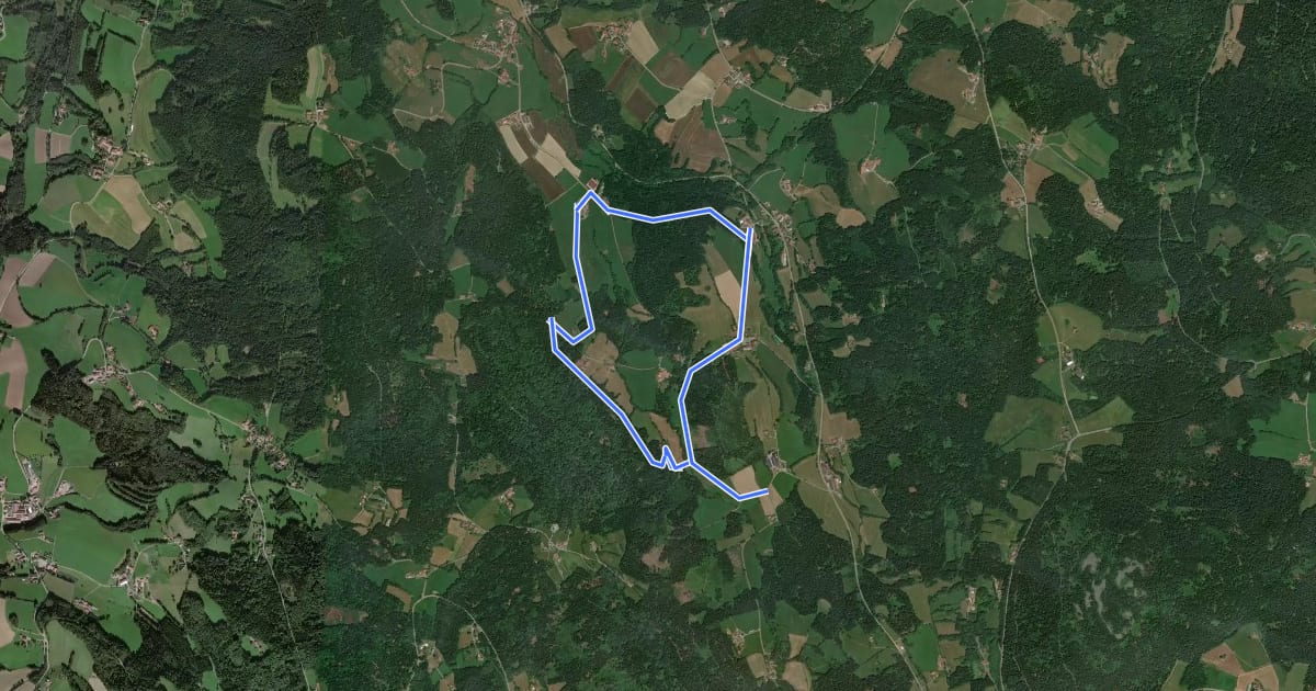 Маршрут Gneißen-Maierhof-Rundweg (Rattenberger Wanderweg 8) на спутниковом снимке