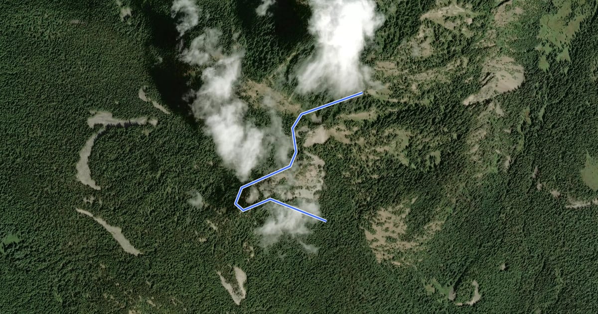 Маршрут Goat Ridge Lookout Trail #95A на спутниковом снимке