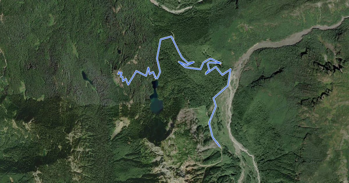Маршрут Gobbler's Knob Trail на спутниковом снимке