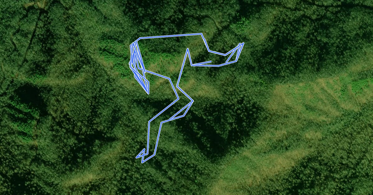 Маршрут Gold Branch Trail на спутниковом снимке