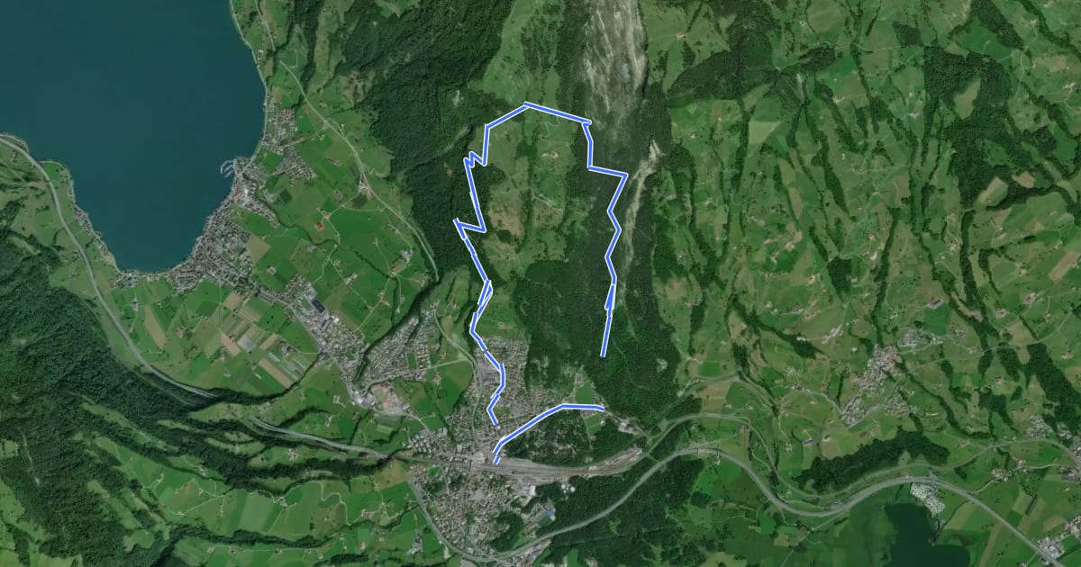 Маршрут Goldauer Bergsturzspur на спутниковом снимке