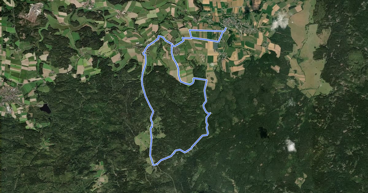 Маршрут Goldbachwanderweg на спутниковом снимке