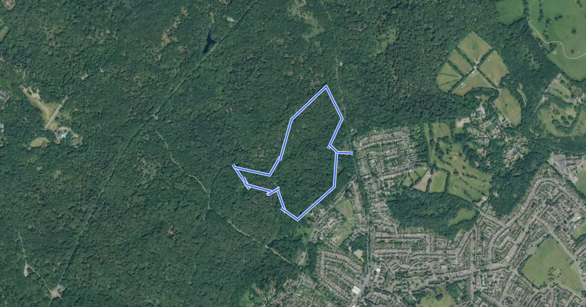 Маршрут Golden Hill Trail на спутниковом снимке