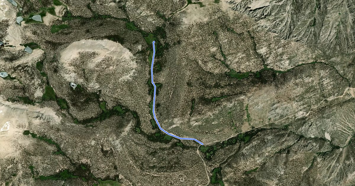 Маршрут Golden Trout Camp Trail на спутниковом снимке