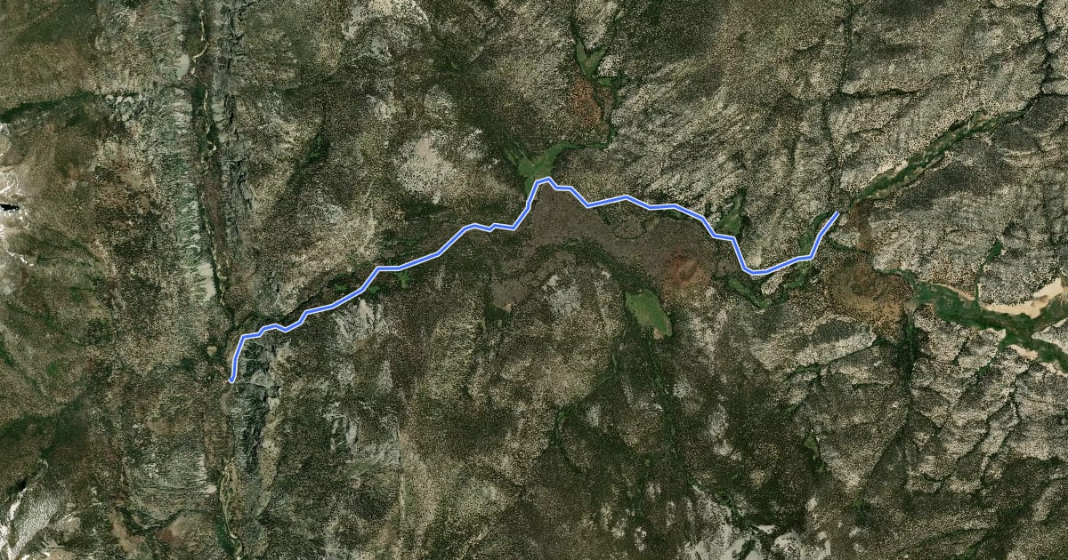 Маршрут Golden Trout Creek Trail на спутниковом снимке