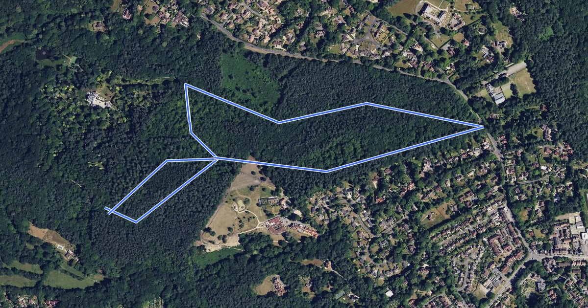 Маршрут Golden Valley Woodland Walk, Hindhead на спутниковом снимке